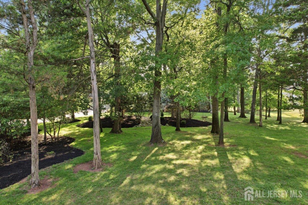 462 Blue Ridge Avenue Piscataway NJ 08854