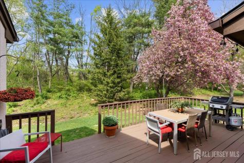 198 Sayre Drive Plainsboro NJ 08540