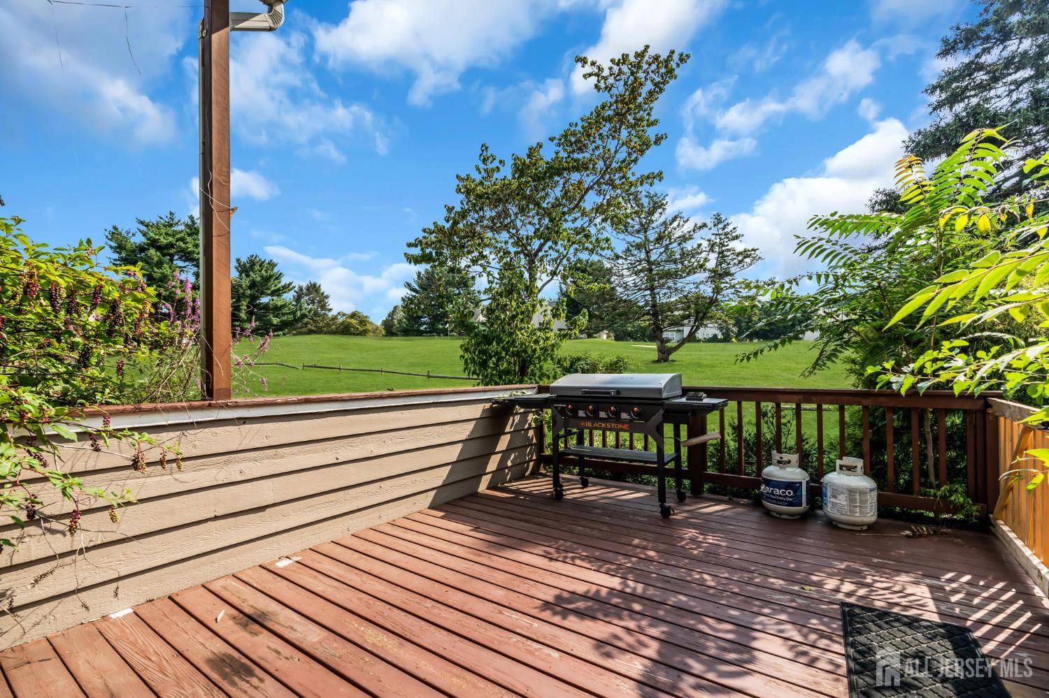 8 Pine Valley Lane Monroe NJ 08831