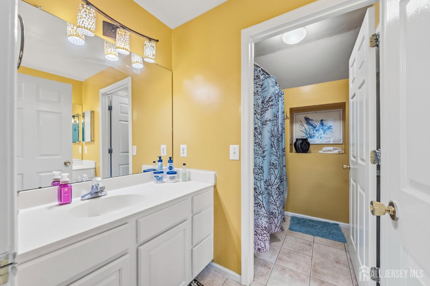 10 Julie Court Franklin NJ 08873