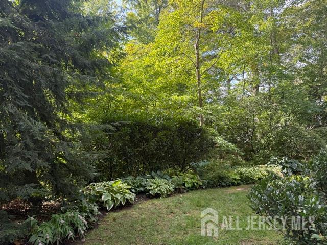 11 Beechtree Lane Plainsboro NJ 08536