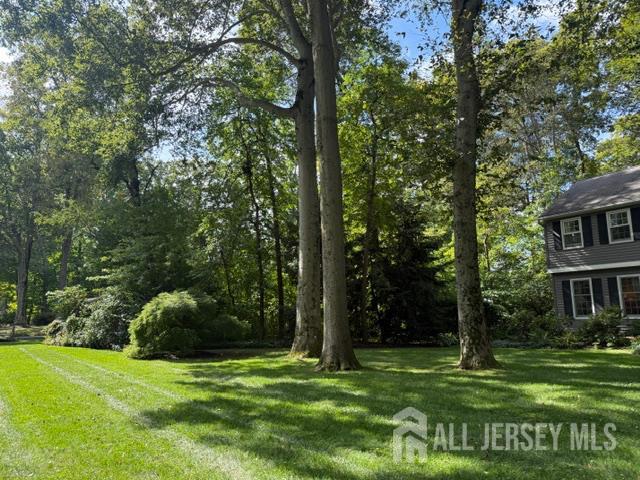 11 Beechtree Lane Plainsboro NJ 08536