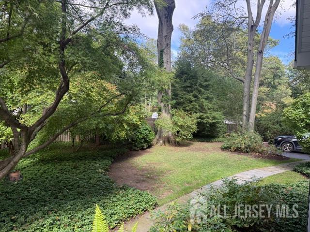 11 Beechtree Lane Plainsboro NJ 08536