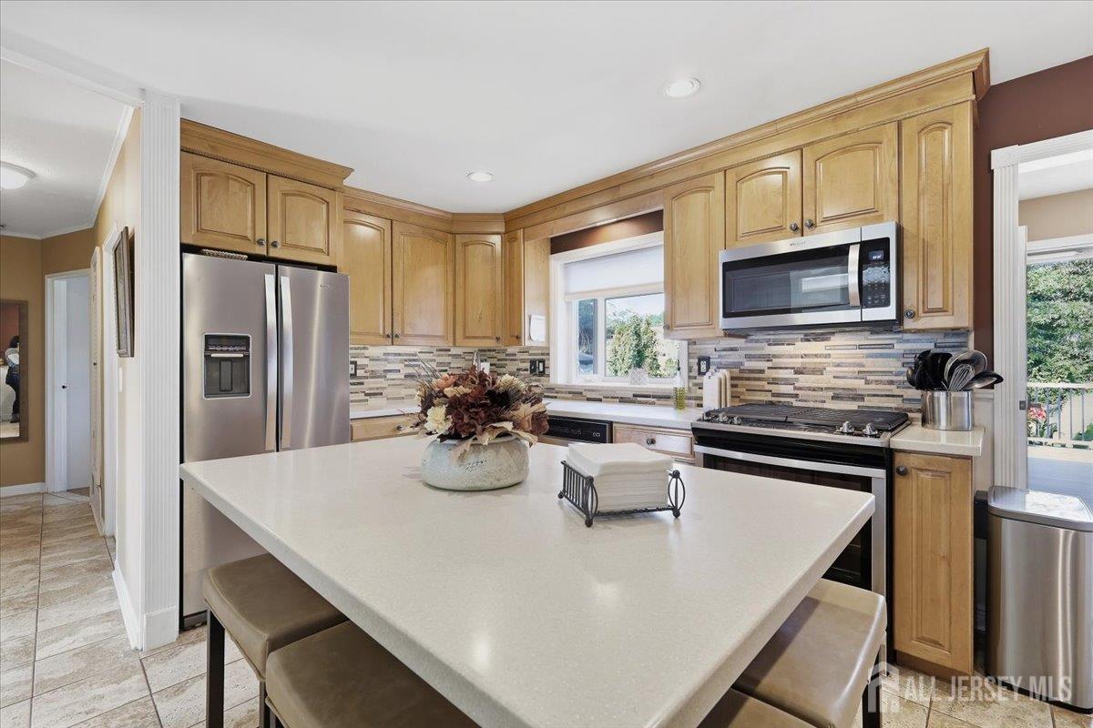 12 Norfolk Road Franklin NJ 08873