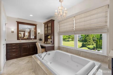 11 Windmill Court Plainsboro NJ 08536