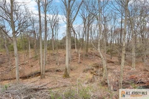 15 Pemberton Drive Old Bridge NJ 07747
