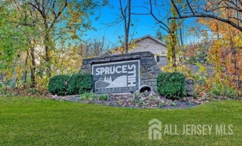 905 Spruce Hills Drive Glen Gardner NJ 08826