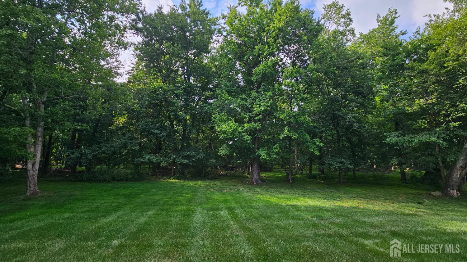 5 Tree Farm Road South Brunswick NJ 08852