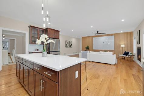 2 Maddie Court Colonia NJ 07067