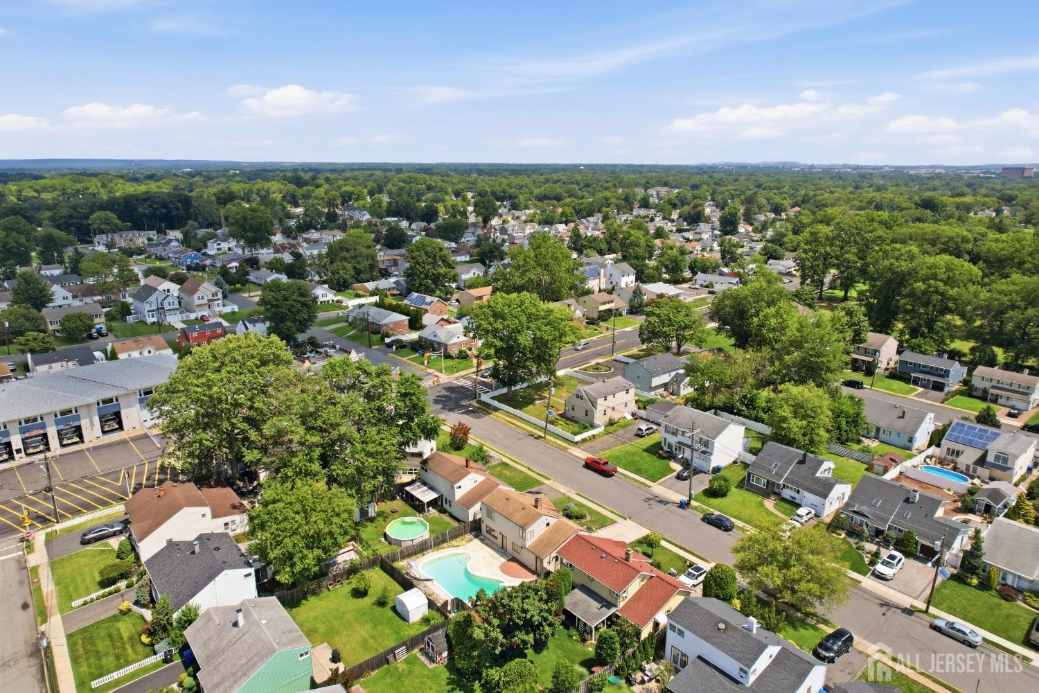 13 Cleveland Avenue Colonia NJ 07067