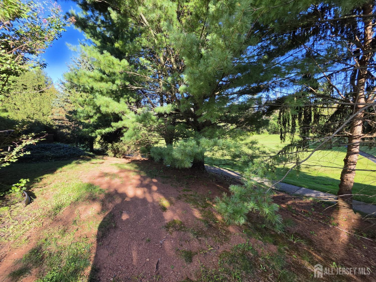 19 Goldenrod Drive Montgomery NJ 08502