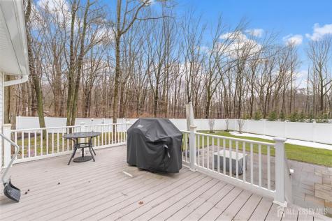 8 Willow Ridge Court Old Bridge NJ 08857