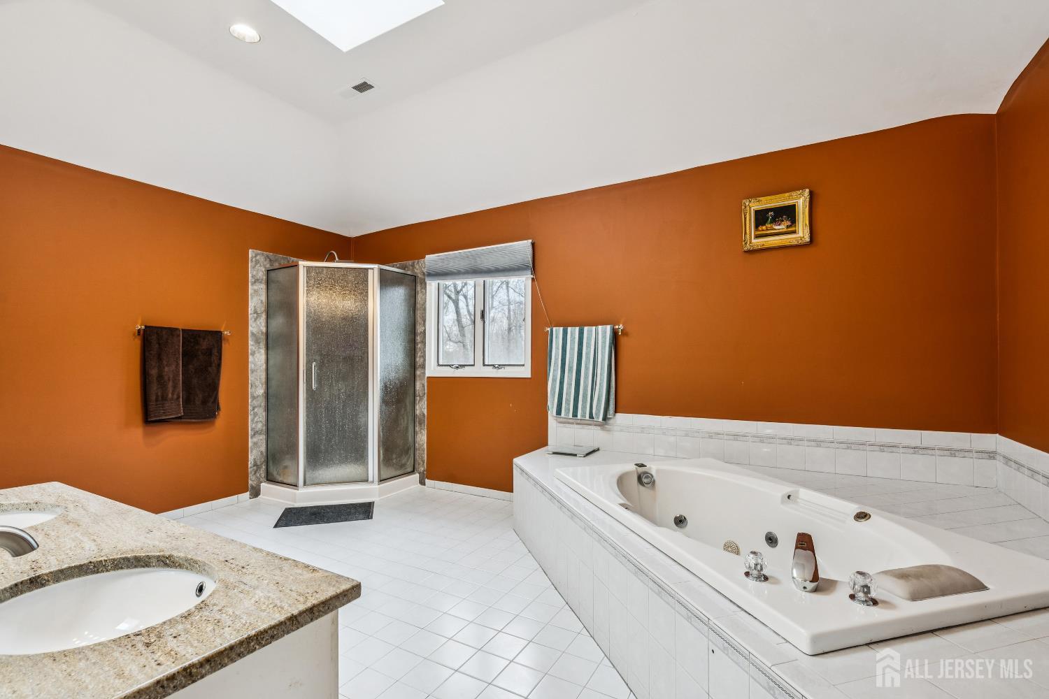 3 Shira Lane Manalapan NJ 07726