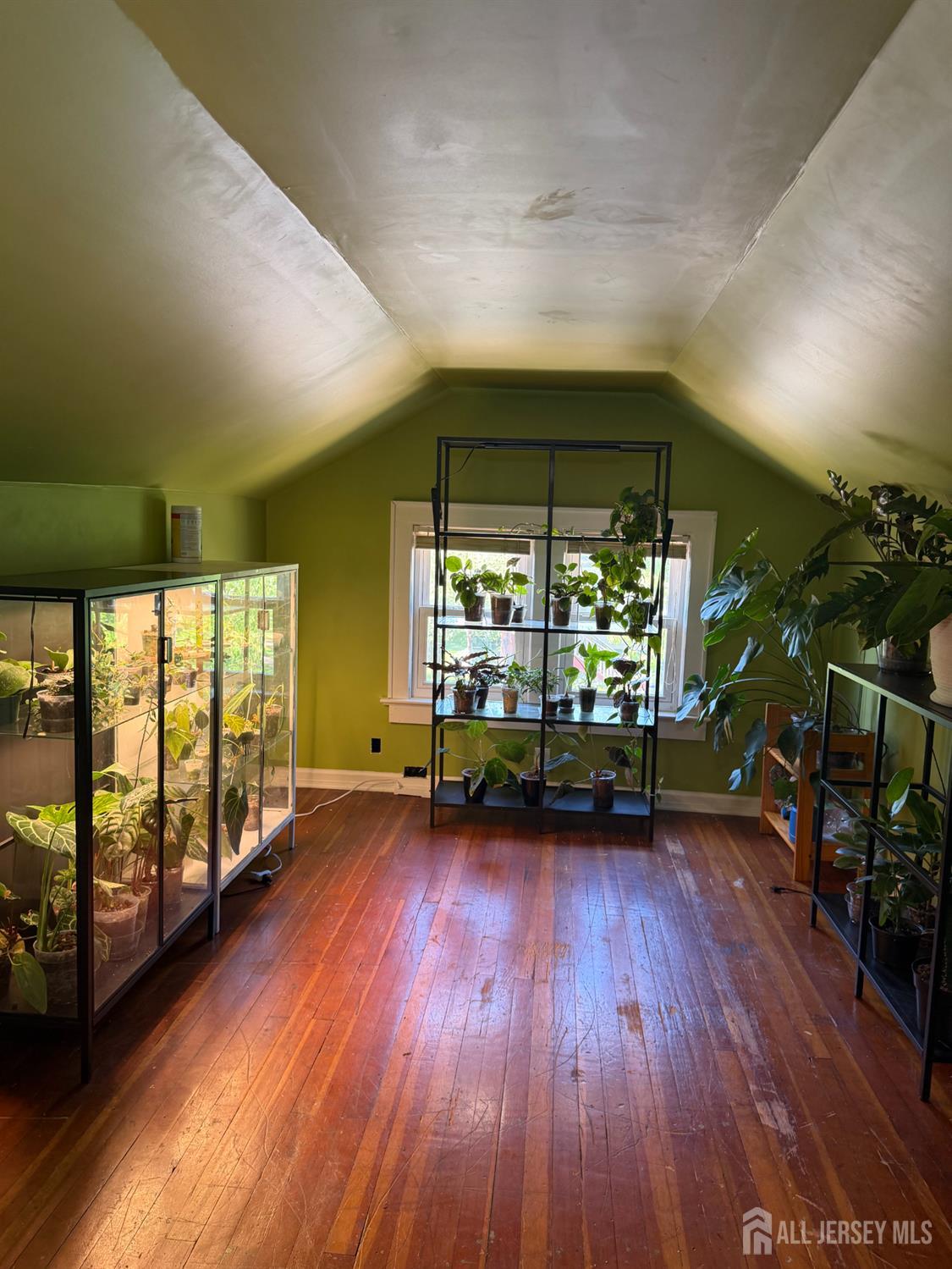 433 S 8th Avenue S Highland Park NJ 08904