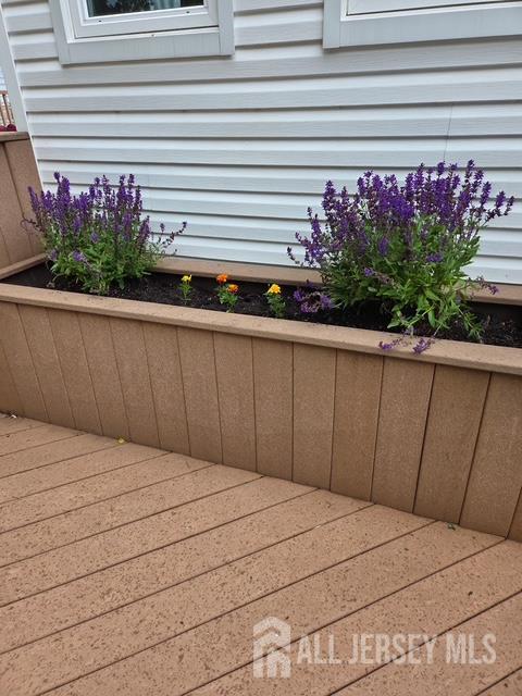 55 Wyoming Avenue Spotswood NJ 08884