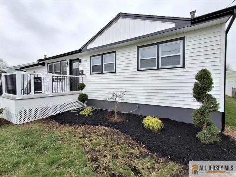 397 Lake Avenue Colonia NJ 07067