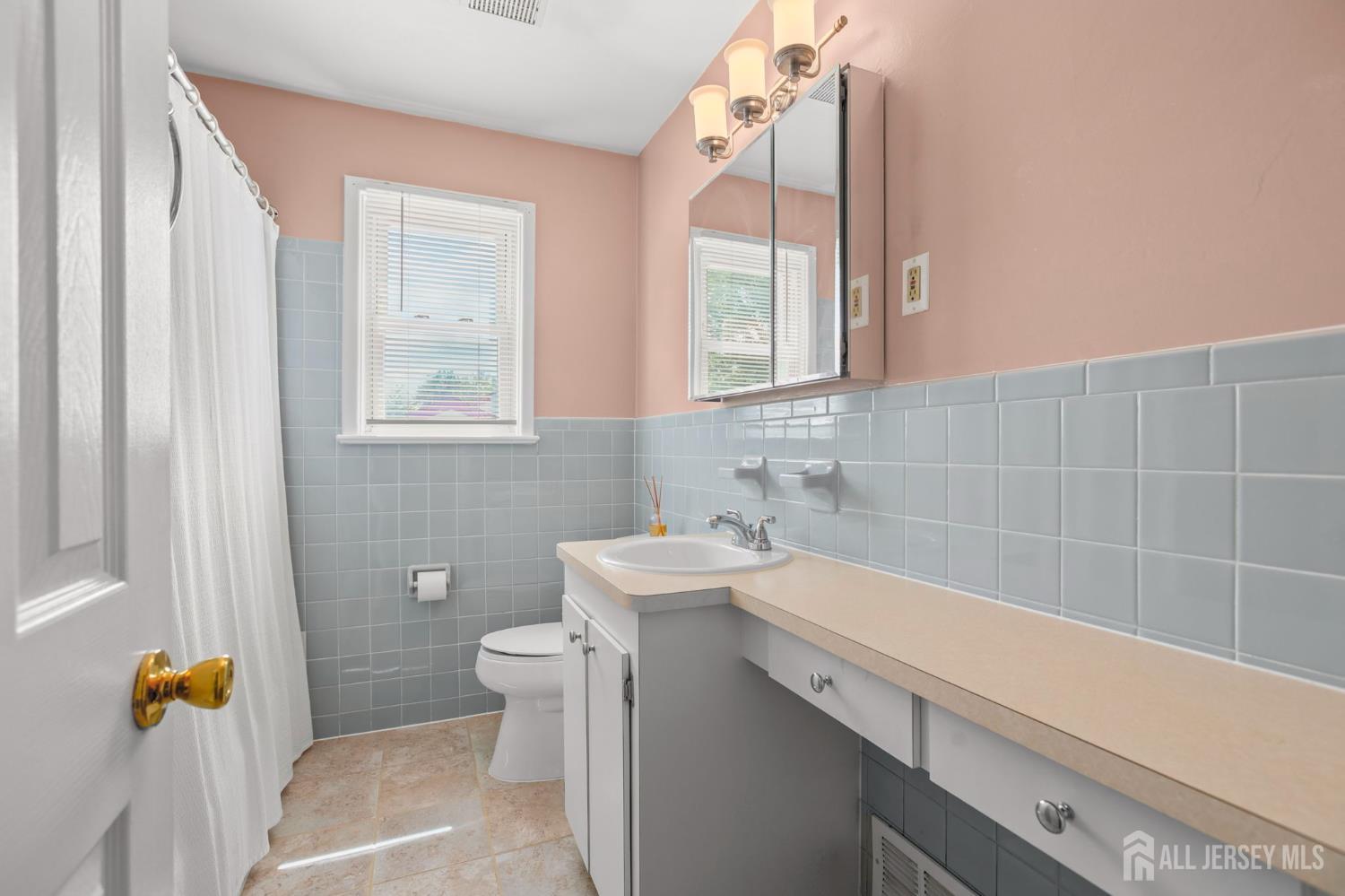 13 Briarwood Drive Franklin NJ 08873
