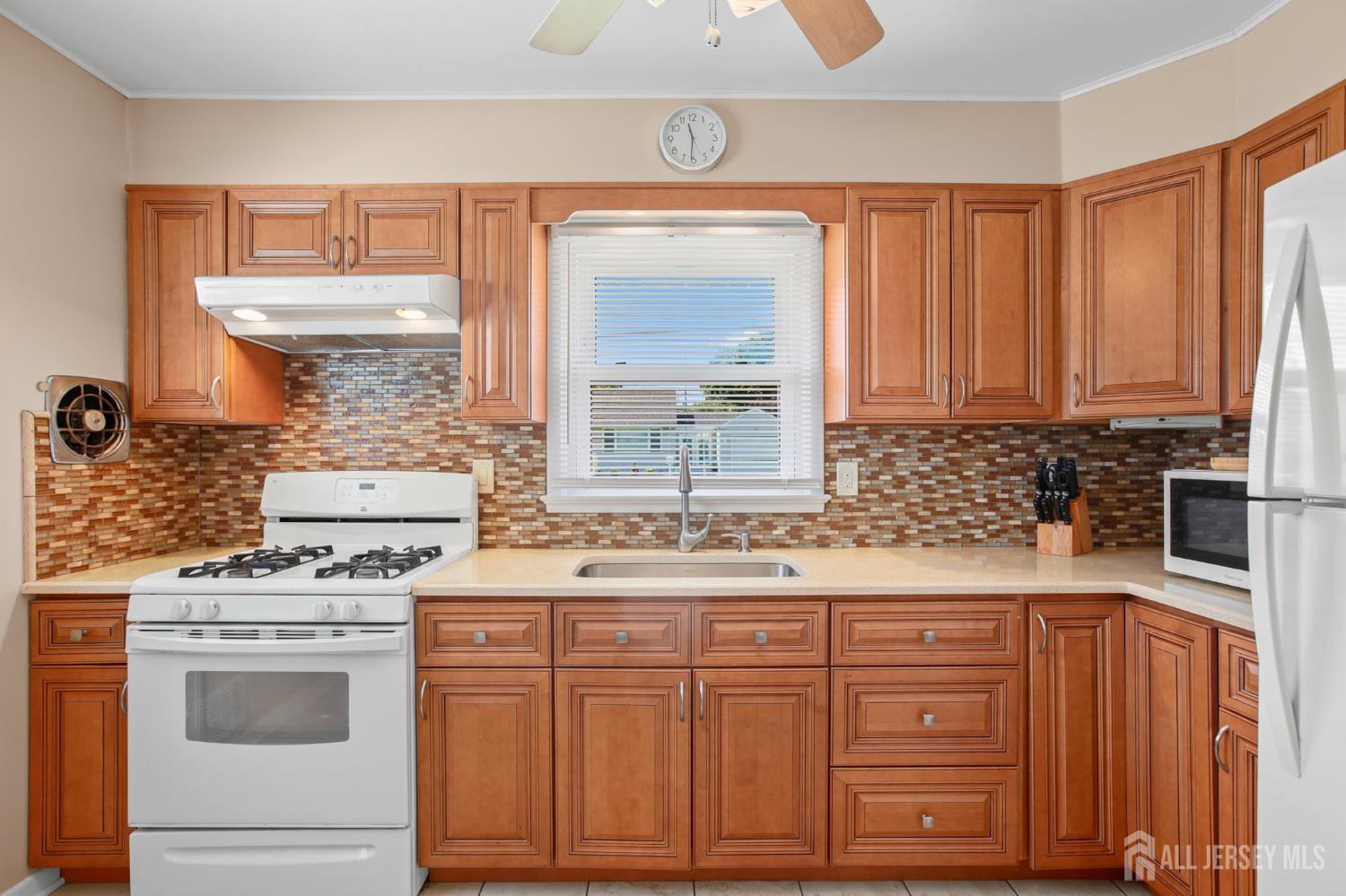 13 Briarwood Drive Franklin NJ 08873