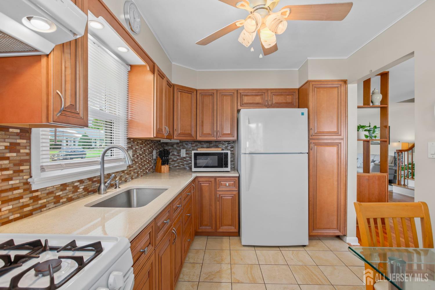13 Briarwood Drive Franklin NJ 08873