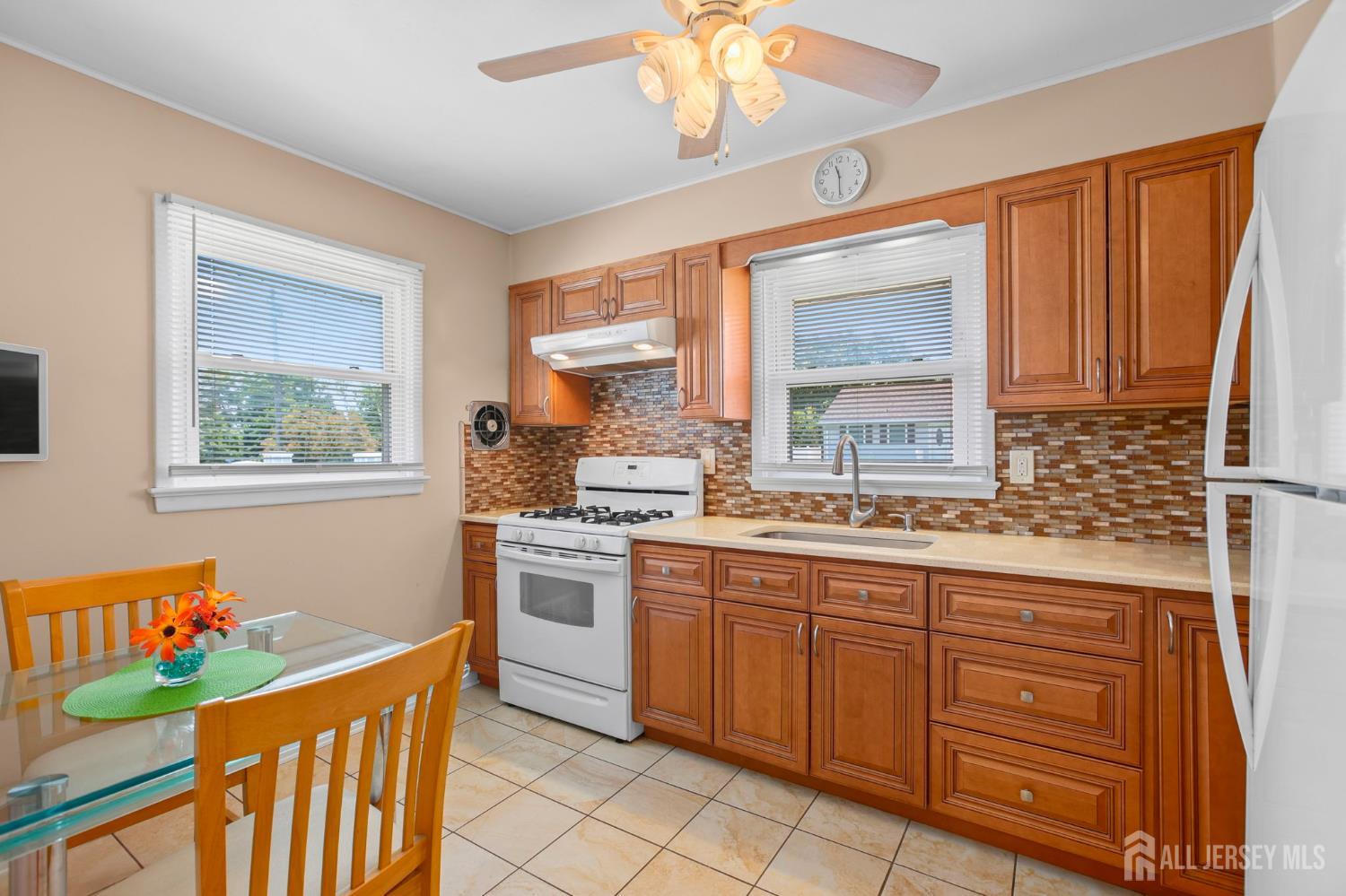 13 Briarwood Drive Franklin NJ 08873