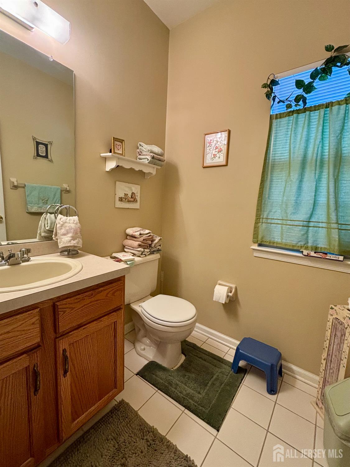 10 Sequoia Drive South Brunswick NJ 08810
