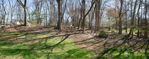7 Cactus Court Edison NJ 08820