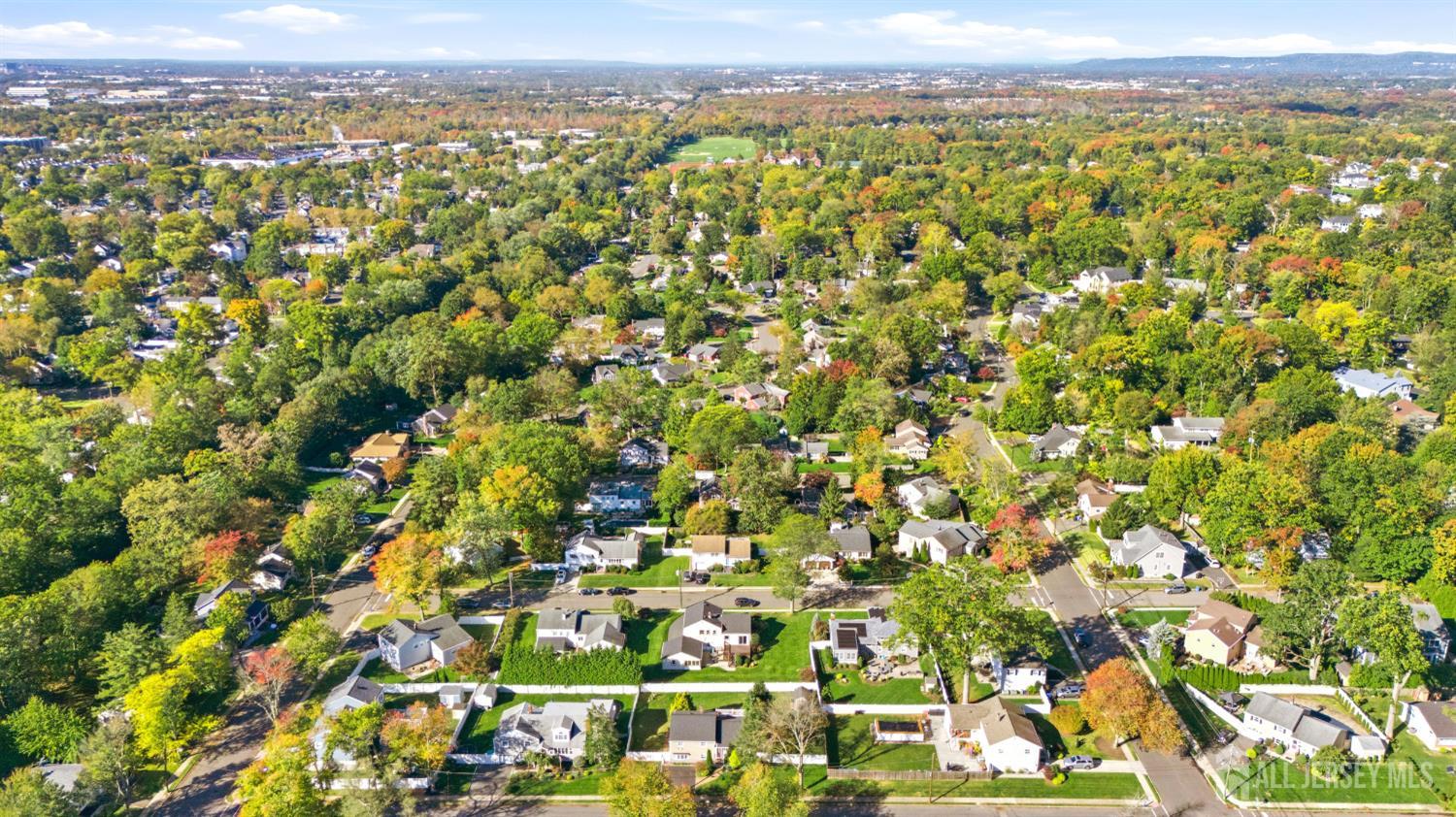 20 Wistar Avenue Metuchen NJ 08840