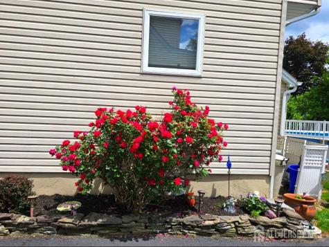 544 Edgeworth Street Middlesex NJ 08846