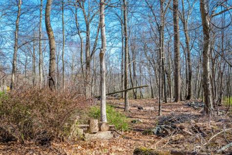 16 Skytop Road Lebanon Twp NJ 07853