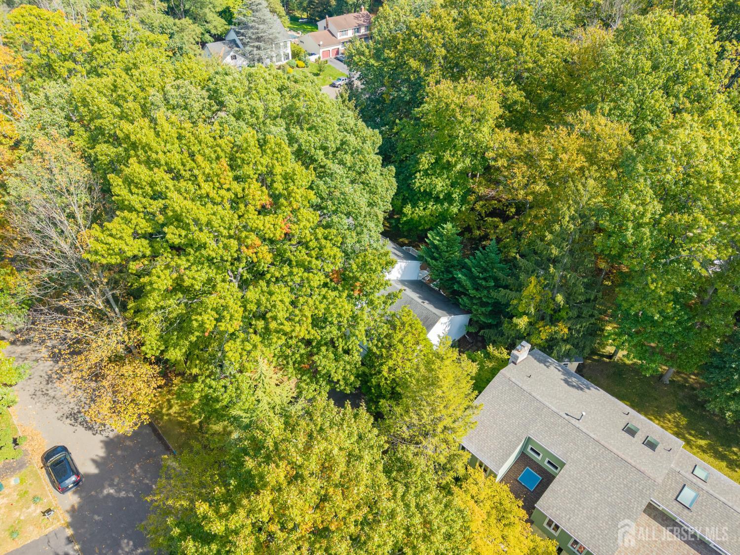 15 Cherokee Road East Brunswick NJ 08816