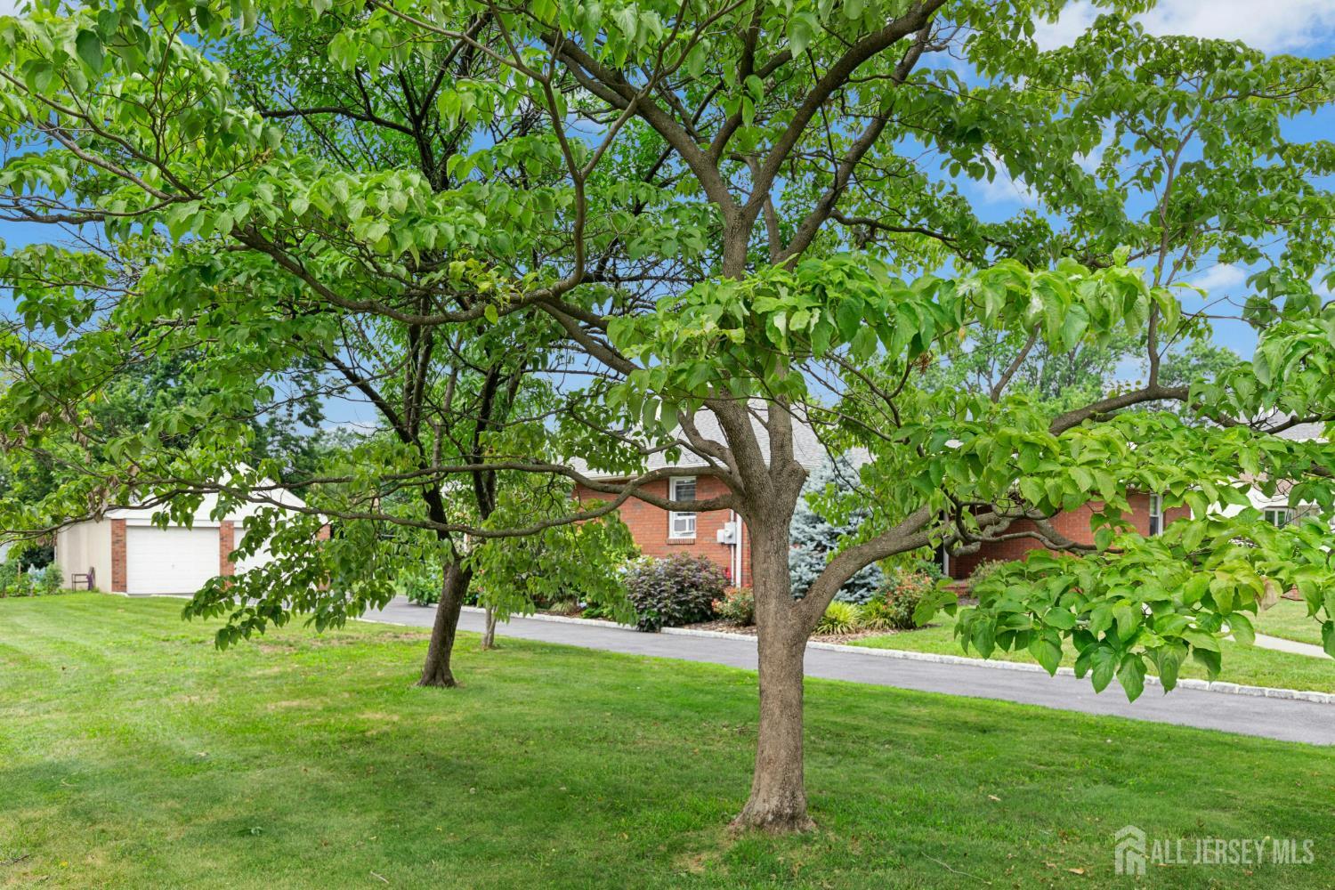 125 W Minna Avenue Avenel NJ 07001