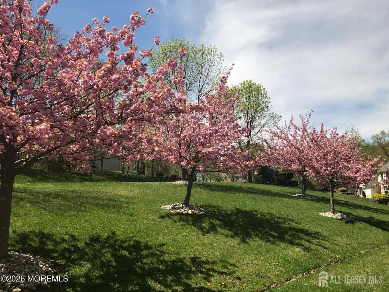 11 Palmer Circle Millstone NJ 08535