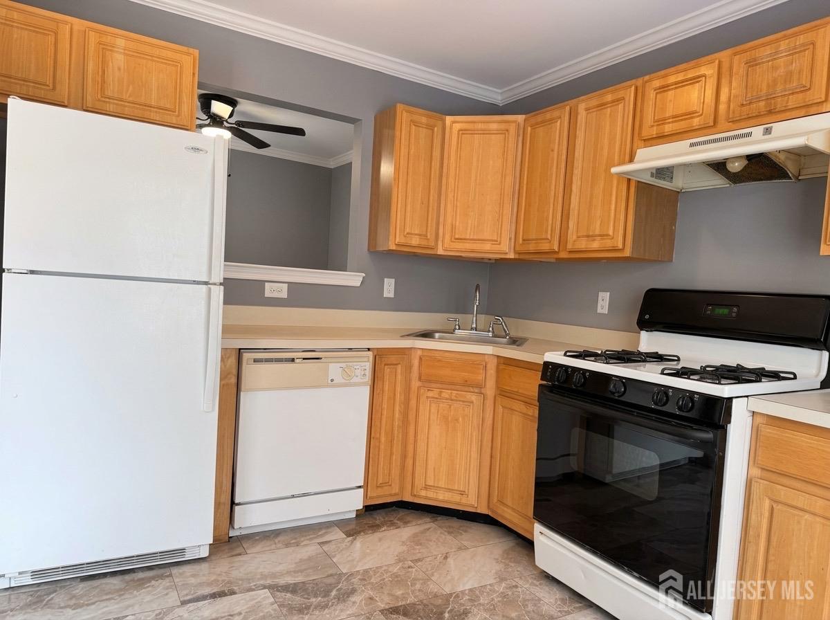 10 Dina Lane Franklin NJ 08873