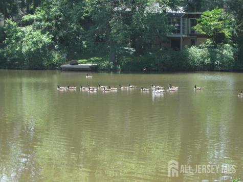 45 N Lakeside Drive Piscataway NJ 08854