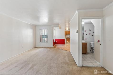 544 Great Beds Court Perth Amboy NJ 08861