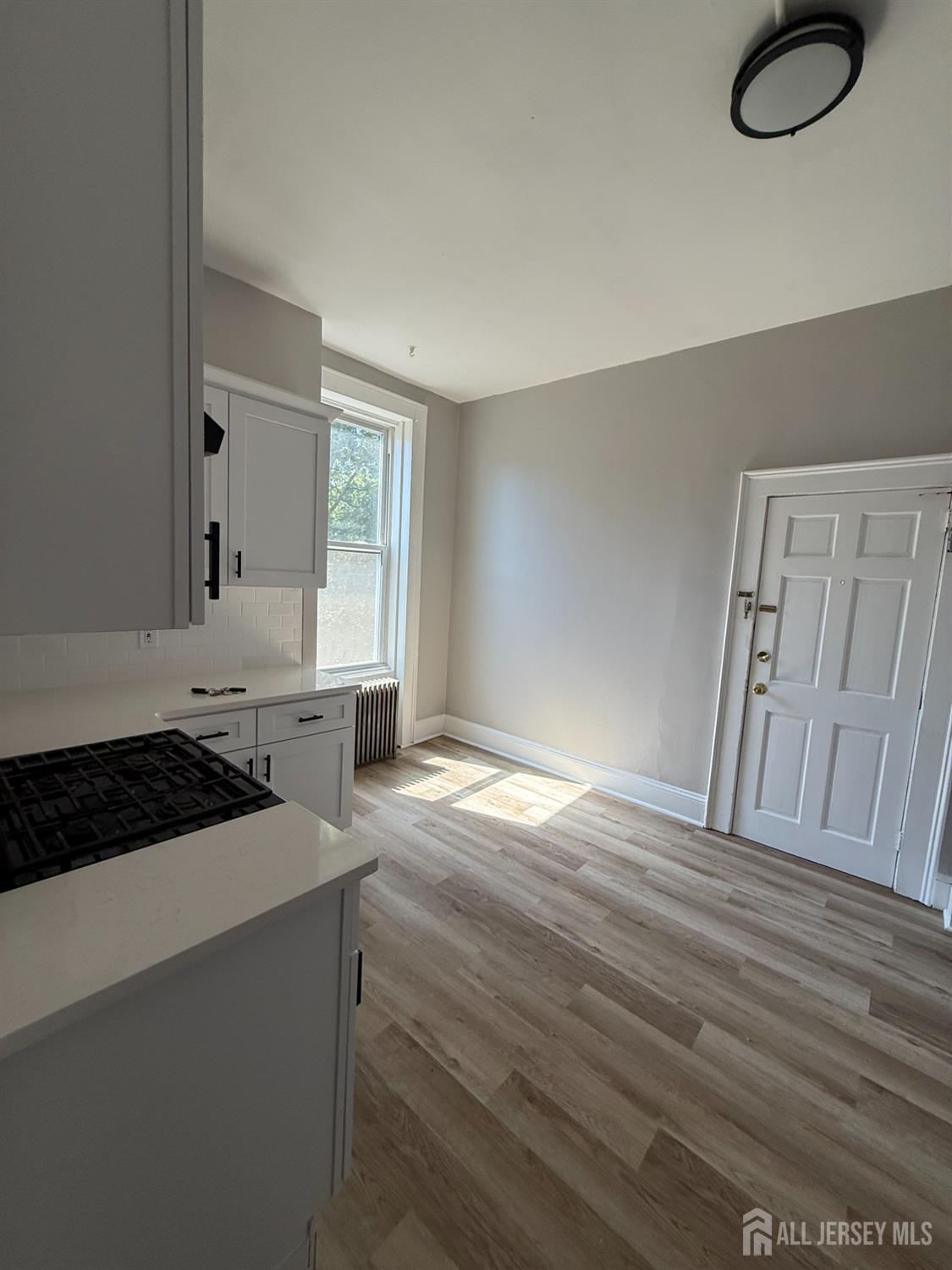 88 Harvey Street New Brunswick NJ 08901