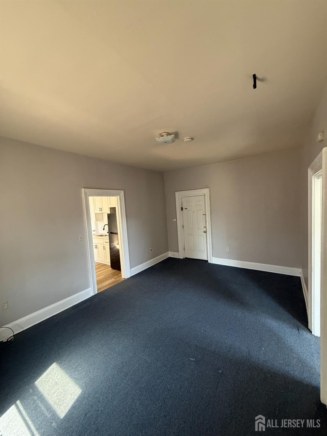 88 Harvey Street New Brunswick NJ 08901