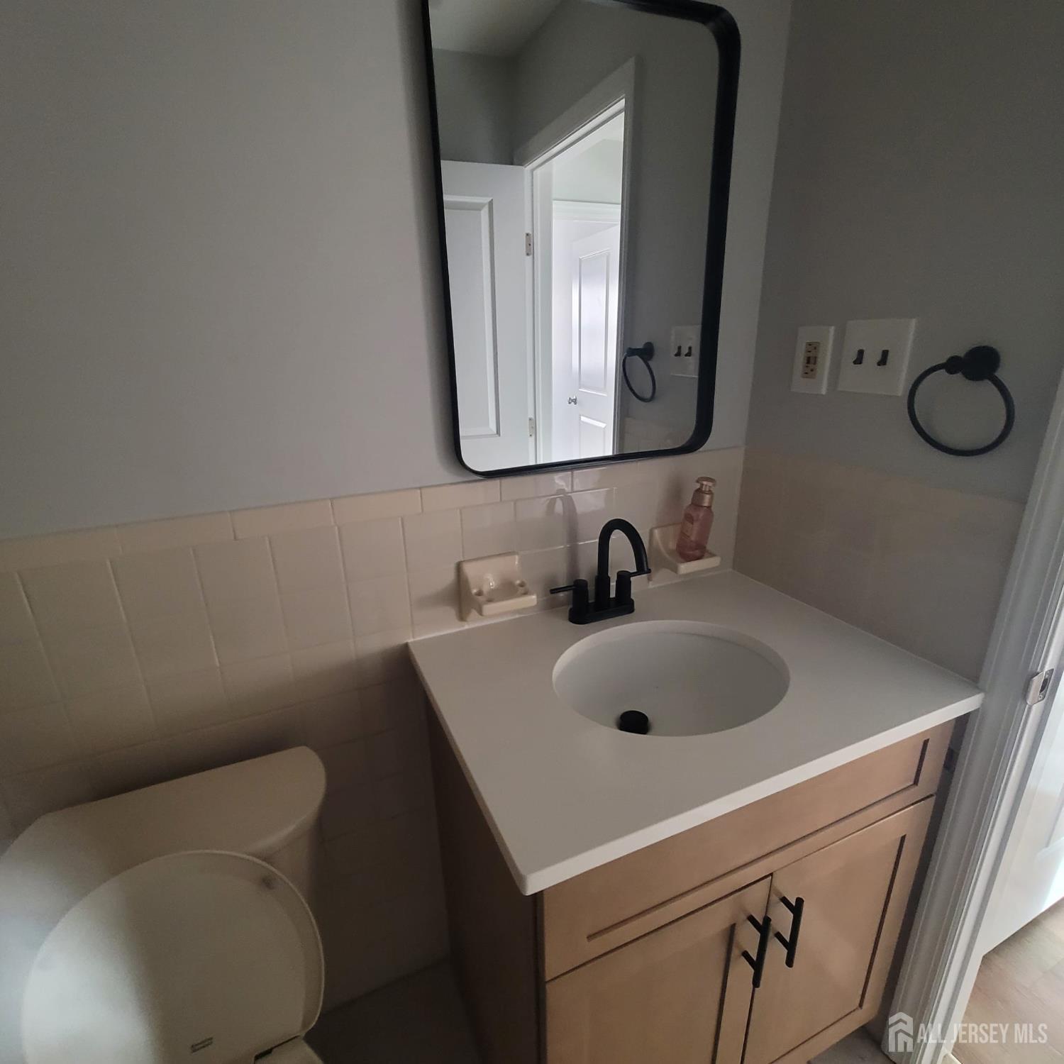 1617 Raspberry Court Edison NJ 08817