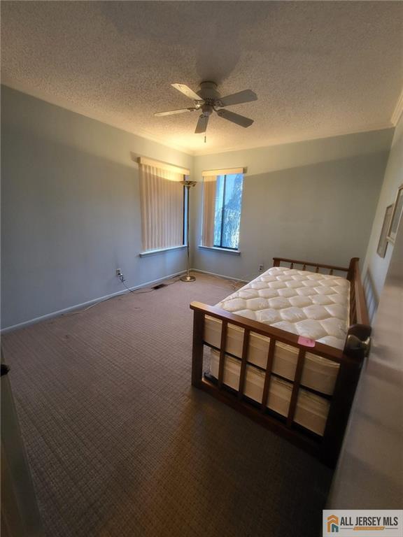 12 Carriage Place Edison NJ 08820