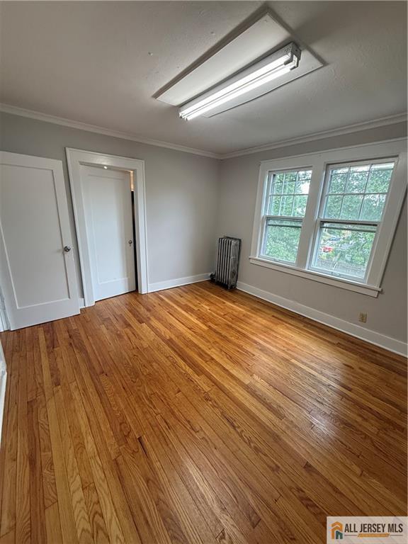 91 Nichol Avenue New Brunswick NJ 08901