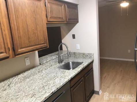 4811 Ravens Crest Drive Plainsboro NJ 08536