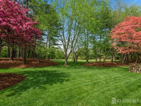 537 Sayre Drive Plainsboro NJ 08540