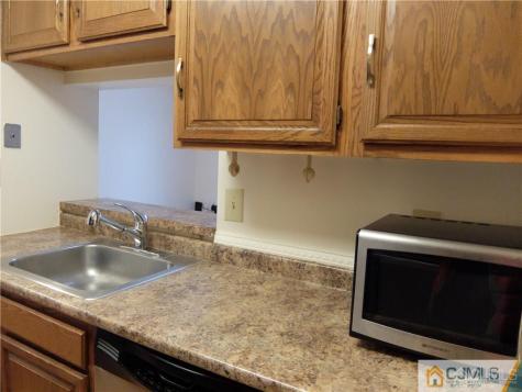 4906 Ravens Crest Drive Plainsboro NJ 08536