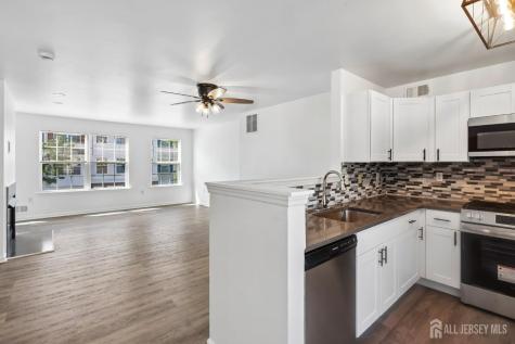 17 Puchala Drive Parlin NJ 08859