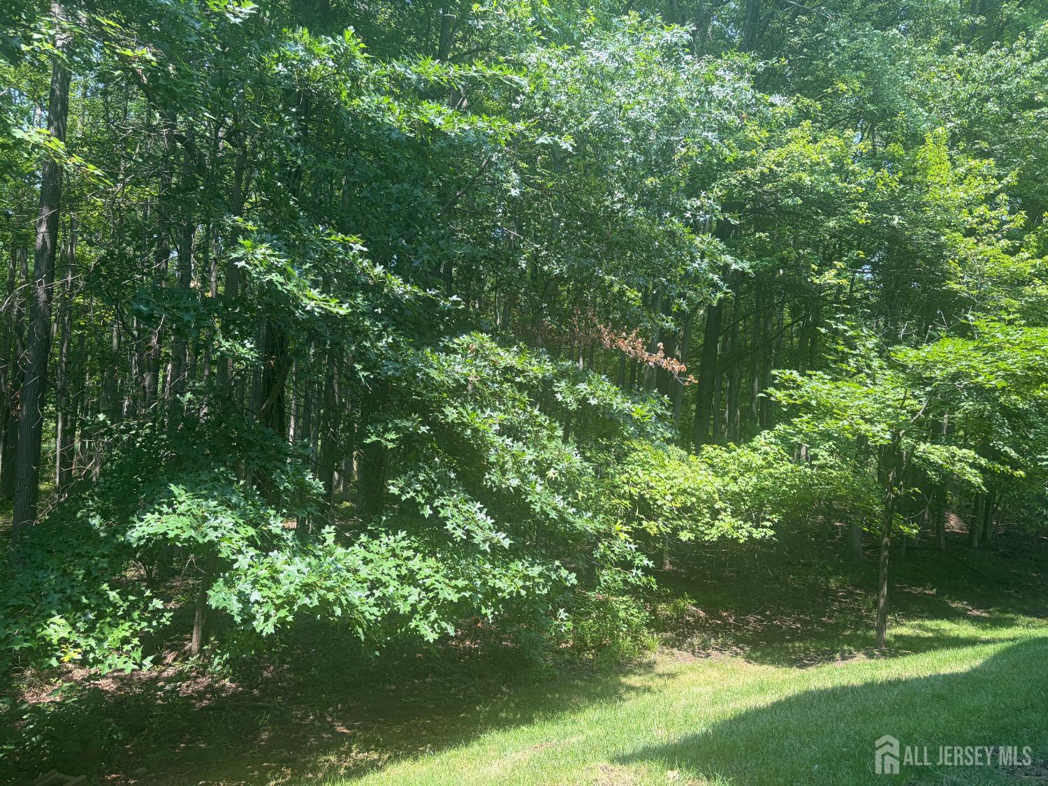 215 Prestwick Way Edison NJ 08820