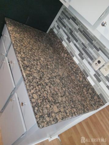 1503 Raspberry Court Edison NJ 08817