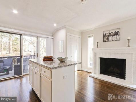 540 Sayre Drive Plainsboro NJ 08540
