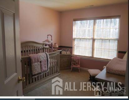 1056 Morning Glory Drive Monroe NJ 08831
