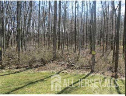 1056 Morning Glory Drive Monroe NJ 08831
