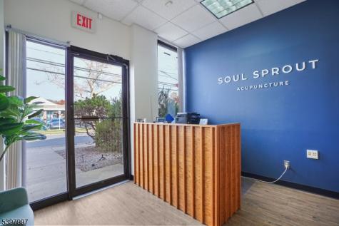 10 E Willow Street Millburn NJ 07041